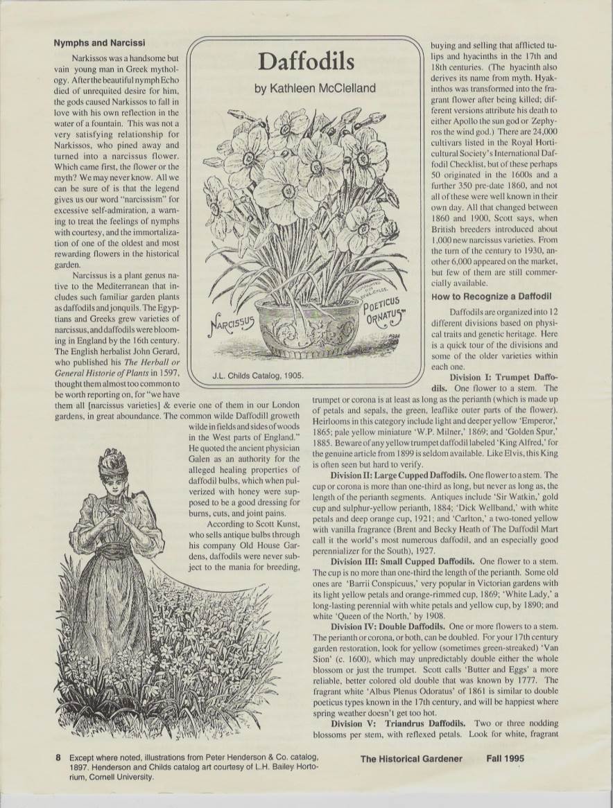 “Daffodils,” Kathleen Mcclelland, the Historical Gardener