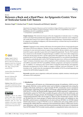 An Epigenetic-Centric View of Testicular Germ Cell Tumors