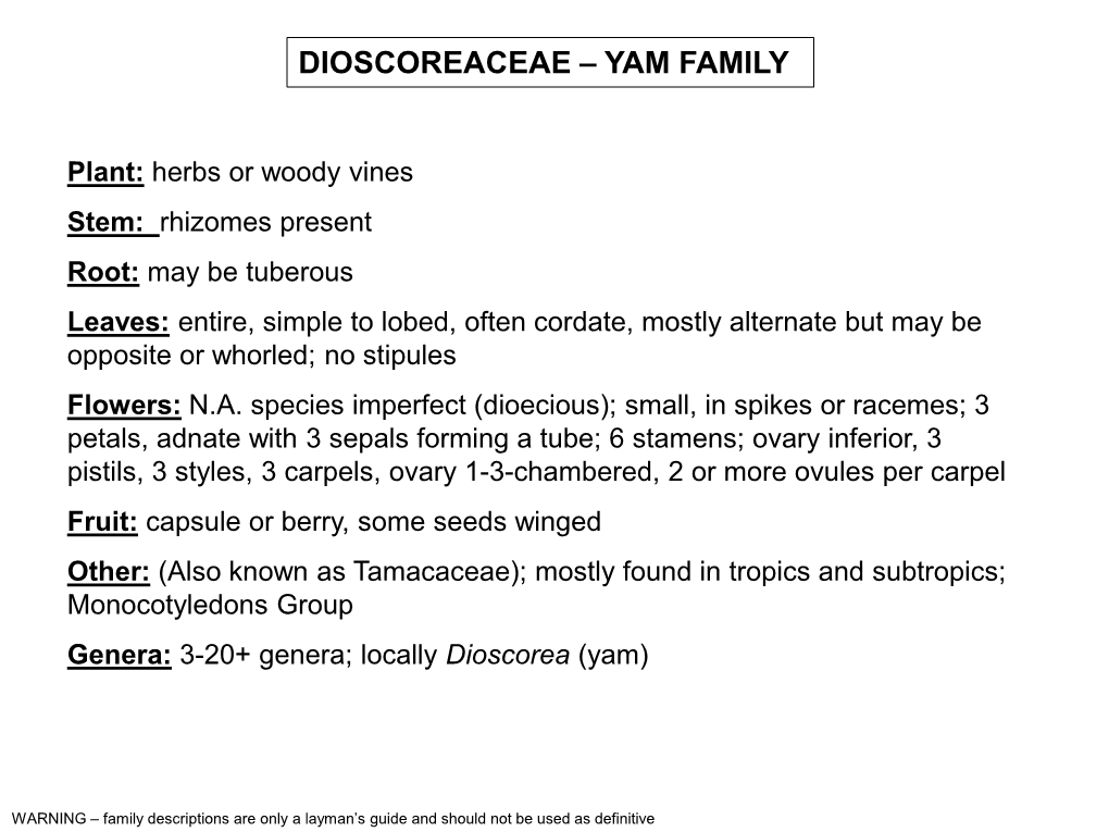 Dioscoreaceae – Yam Family