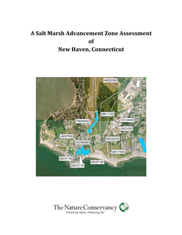 A Salt Marsh Advancement Zone Assessment of New Haven, Connecticut