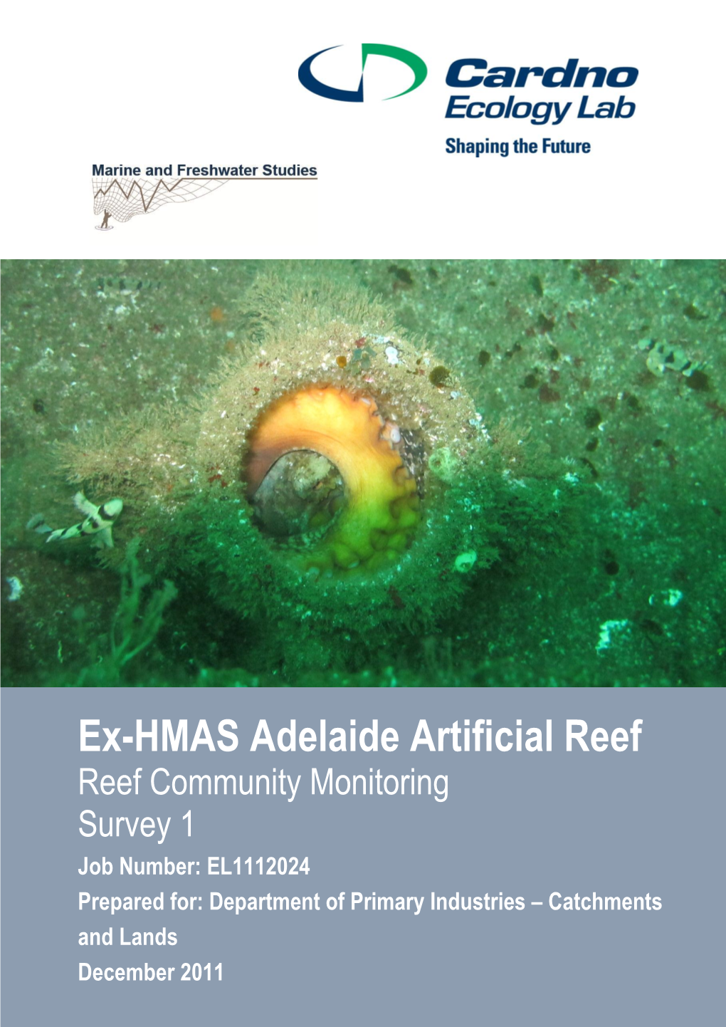 Ex-HMAS Adelaide Artificial Reef