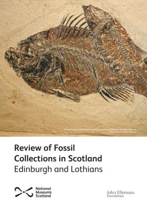 Review of Fossil Collections in Scotland Edinburgh and Lothians Edinburgh and Lothians