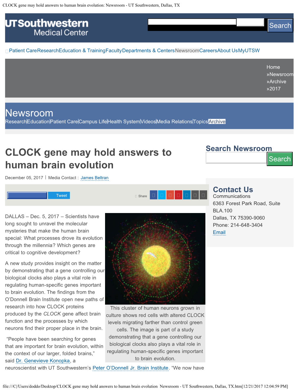 CLOCK Gene May Hold Answers to Human Brain Evolution: Newsroom - UT Southwestern, Dallas, TX