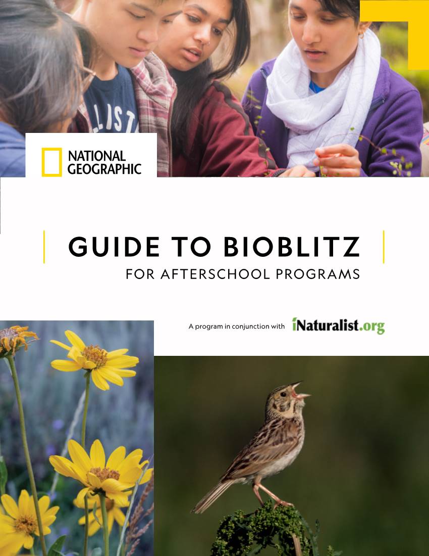 Guide to Bioblitz for Afterschool Programs