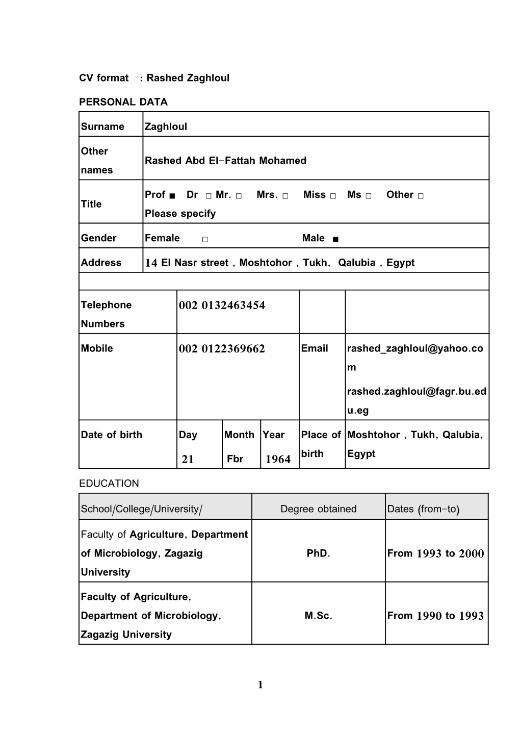 CV Format : Rashed Zaghloul