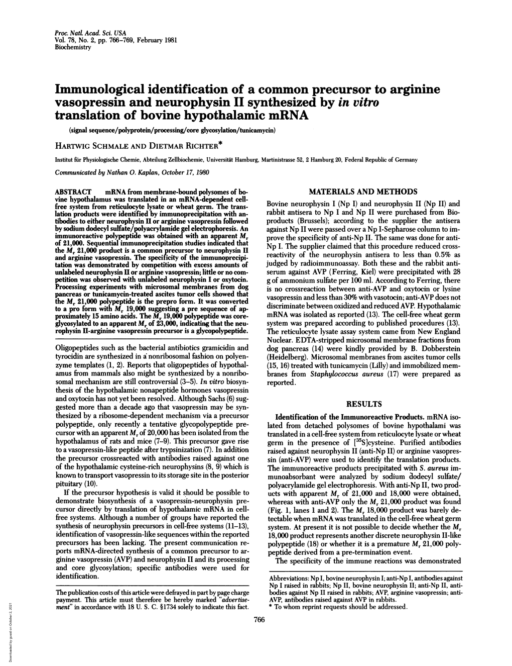 Immunological Identification of a Common Precursor to Arginine