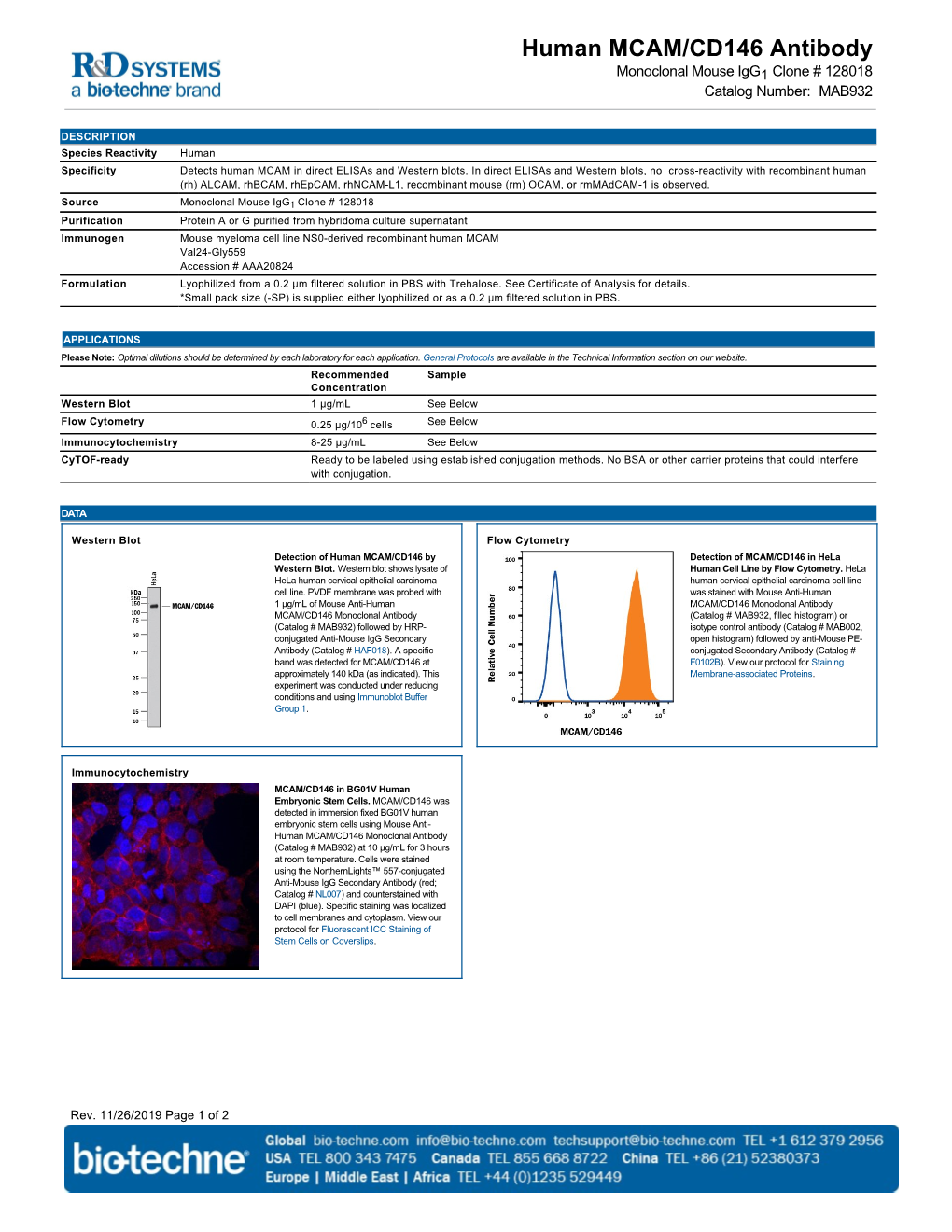 Human MCAM/CD146 Antibody
