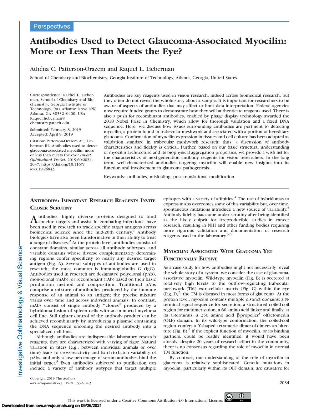 Antibodies Used to Detect Glaucoma-Associated Myocilin: More Or Less Than Meets the Eye?