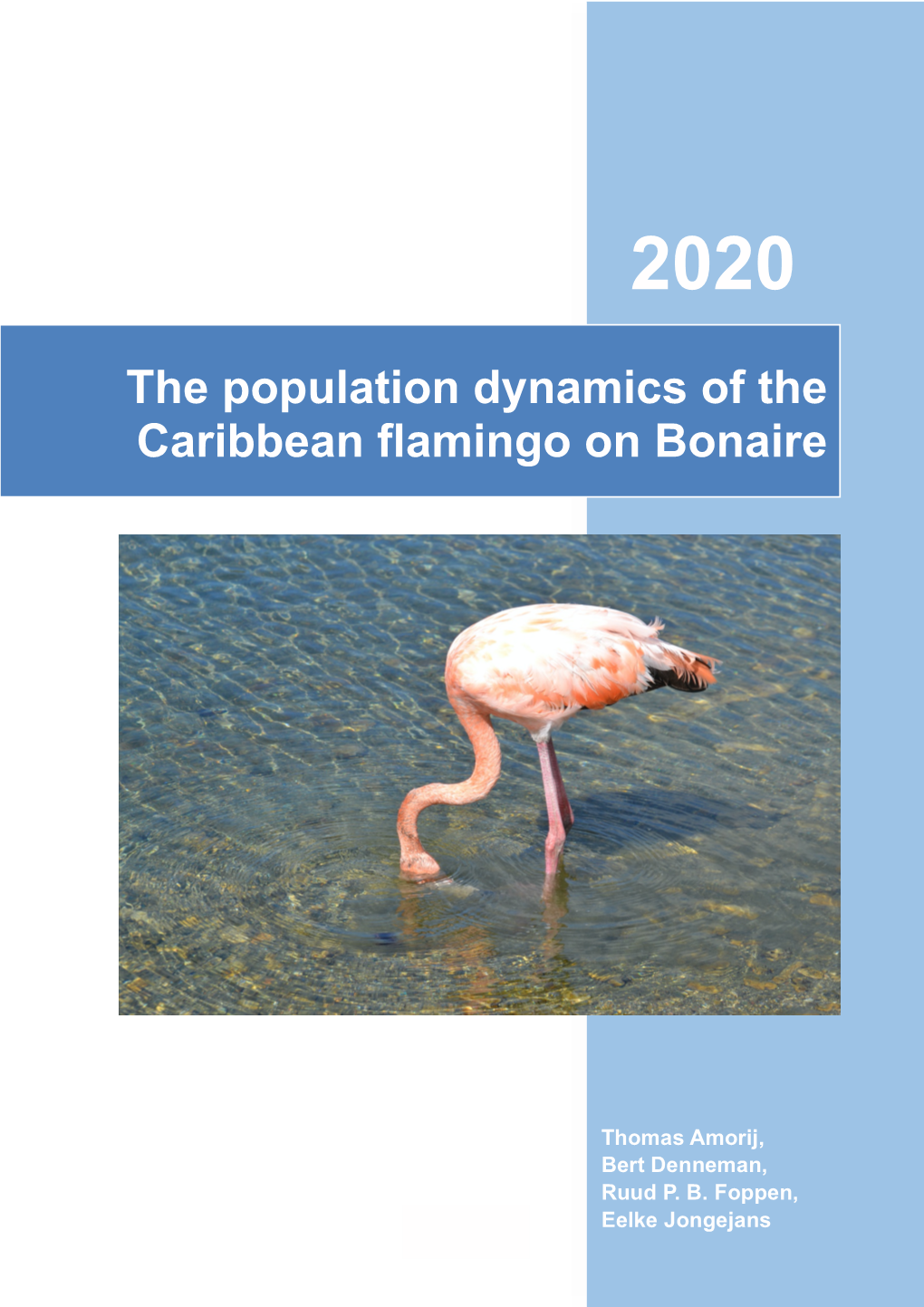 The Population Dynamics of the Caribbean Flamingo on Bonaire