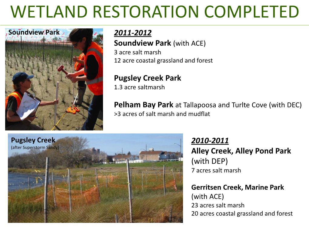 Wetlands Restoration