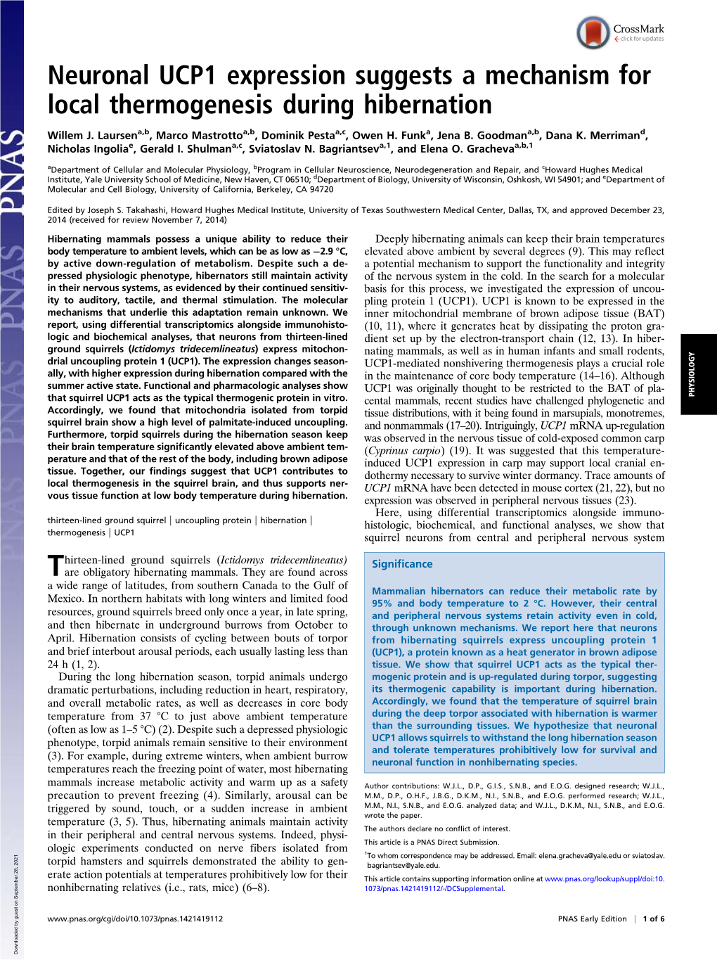 Neuronal UCP1 Expression Suggests a Mechanism for Local Thermogenesis During Hibernation