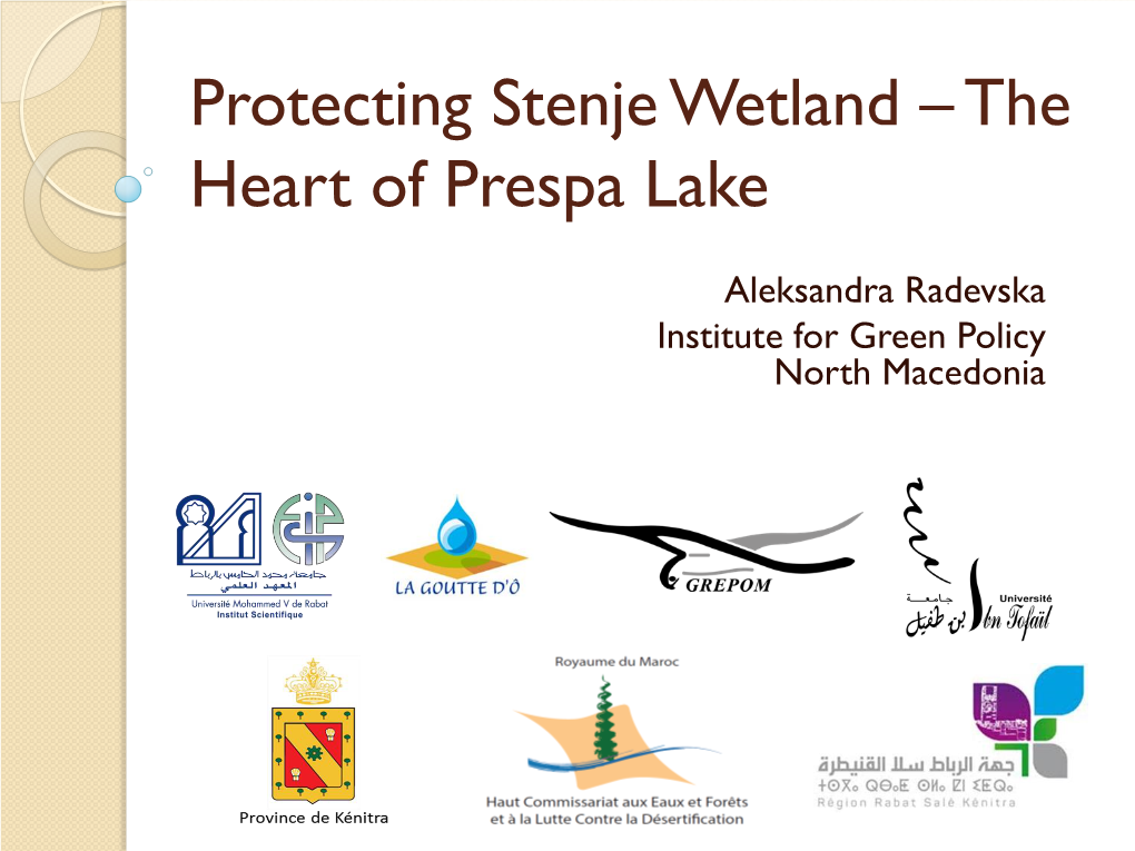 Protecting Stenje Wetland – the Heart of Prespa Lake