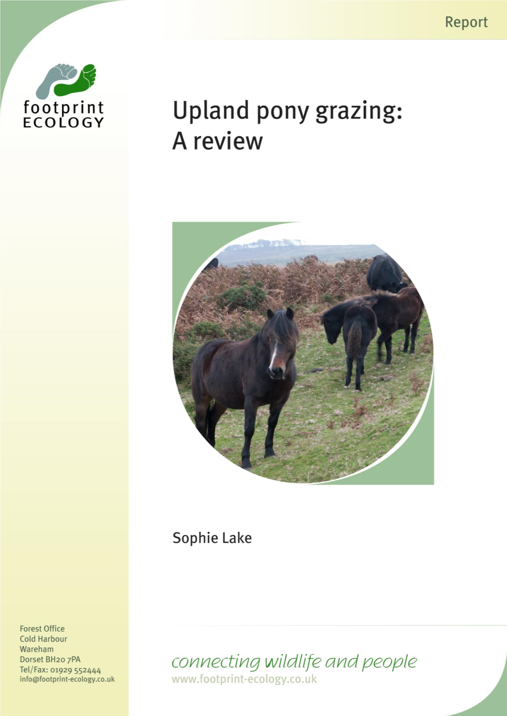 Upland Pony Grazing a Review