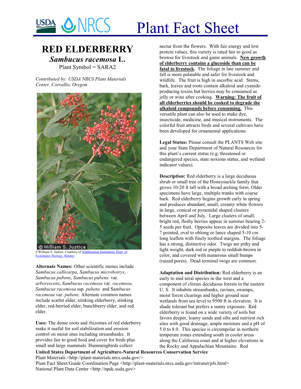 Plant Fact Sheet for Red Elderberry (Sambucus Racemosa)