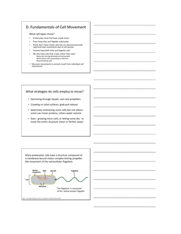 D. Fundamentals of Cell Movement