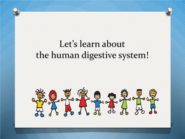 Let's Learn About the Human Digestive System!