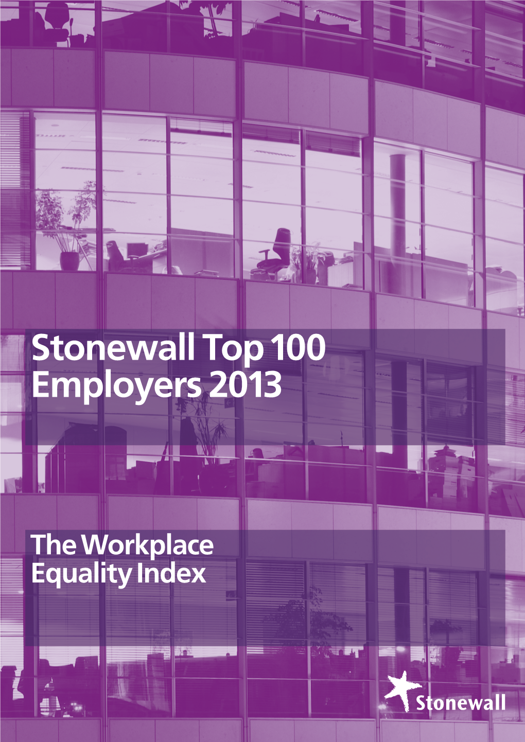 Stonewall Top 100 Employers 2013