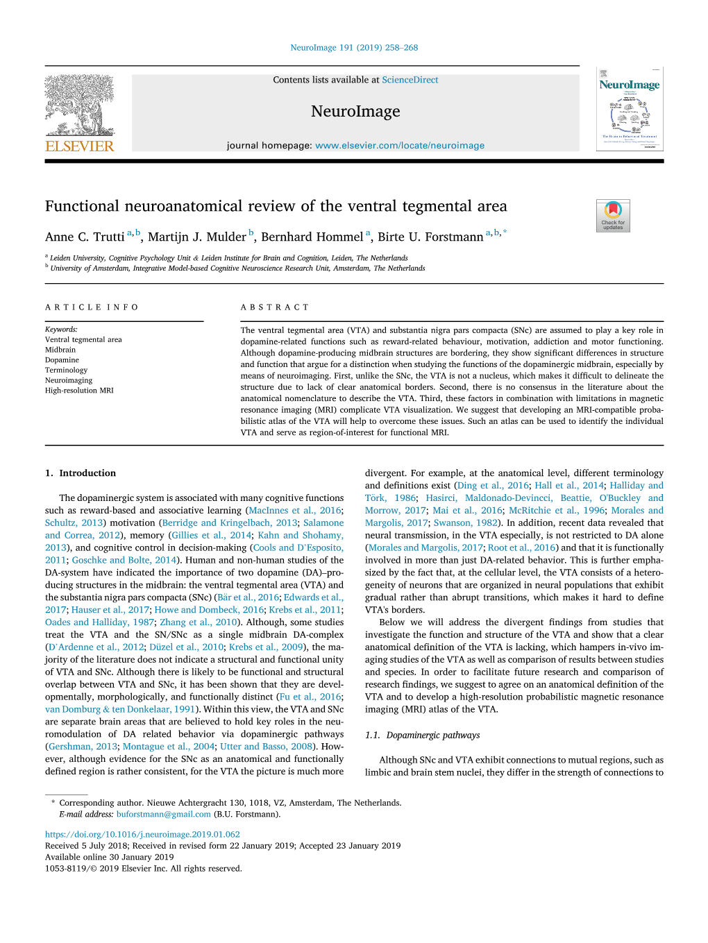 Functional Neuroanatomical Review of the Ventral Tegmental Area