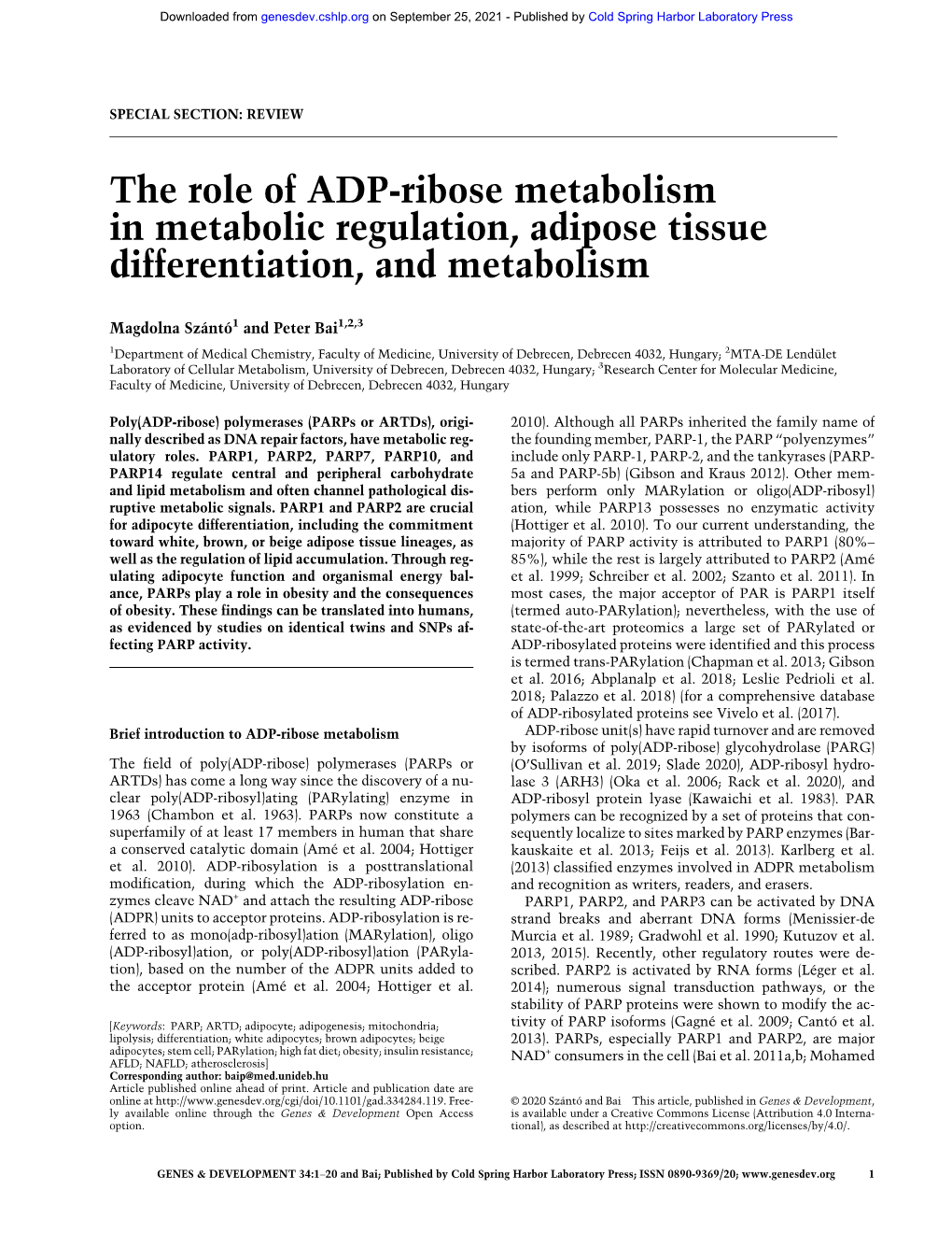 The Role of ADP-Ribose Metabolism in Metabolic Regulation, Adipose Tissue Differentiation, and Metabolism