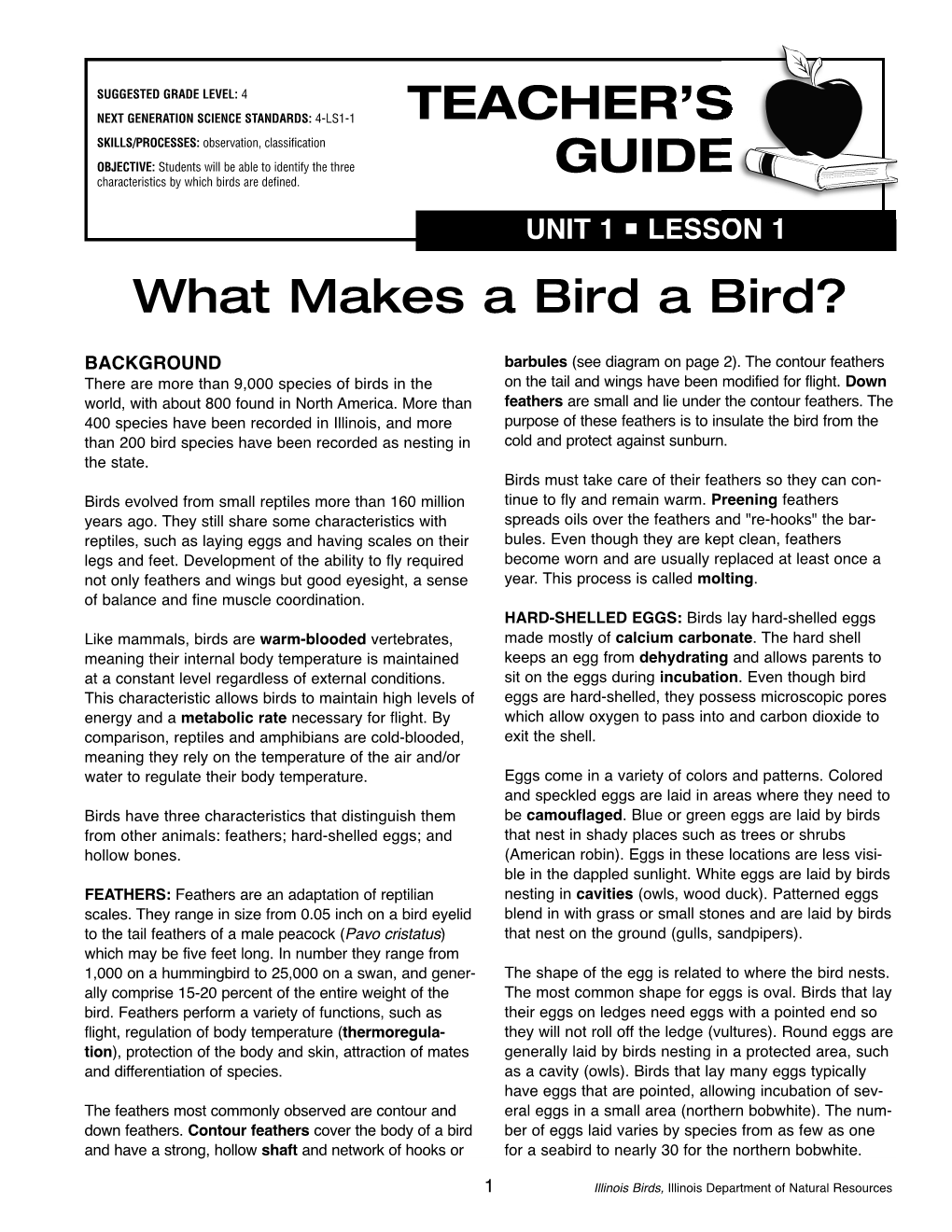 What Makes a Bird a Bird?