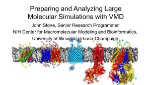 Preparing and Analyzing Large Molecular Simulations With
