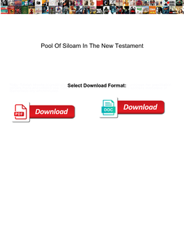 Pool of Siloam in the New Testament