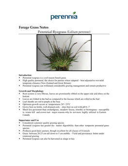 Forage Grass Notes Perennial Ryegrass (Lolium Perenne)