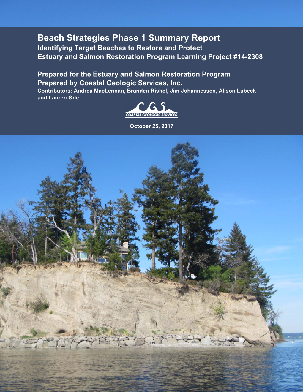 Beach Strategies Phase 1 Summary Report Identifying Target Beaches to Restore and Protect Estuary and Salmon Restoration Program Learning Project #14-2308