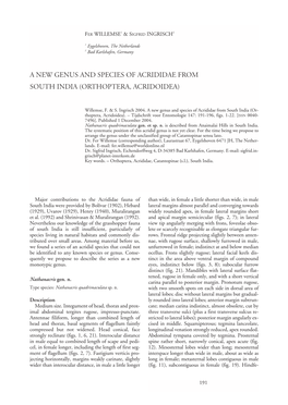 A New Genus and Species of Acrididae from South India (Orthoptera, Acridoidea)