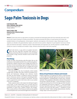 Sago Palm Toxicosis in Dogs