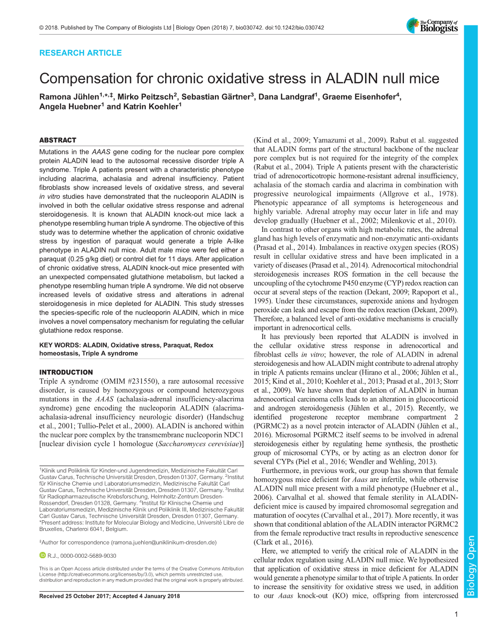 Compensation for Chronic Oxidative Stress in ALADIN Null Mice