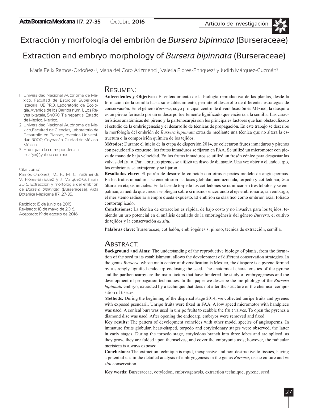 Extracción Y Morfología Del Embrión De Bursera Bipinnata (Burseraceae) Extraction and Embryo Morphology of Bursera Bipinnata (Burseraceae)