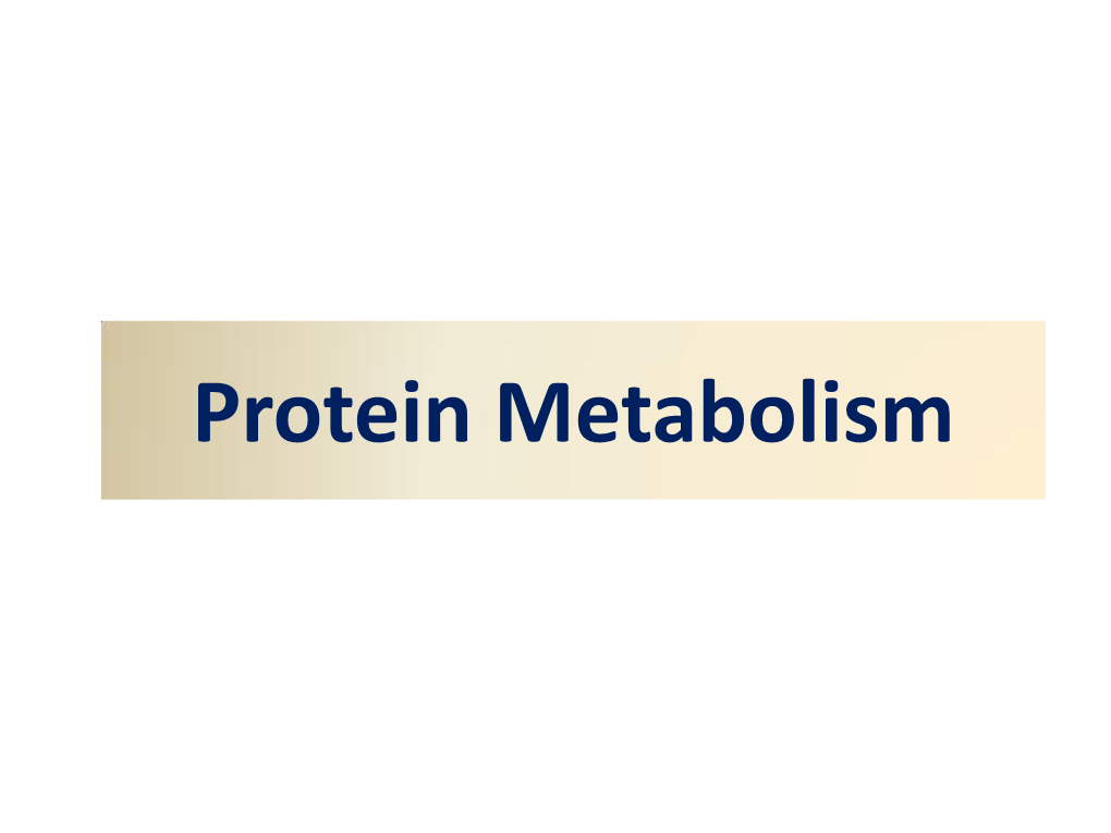 Protein Metabolism MB Madam.Pdf