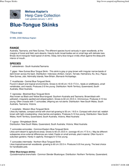 Blue-Tongue Skinks