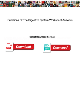 Functions of the Digestive System Worksheet Answers