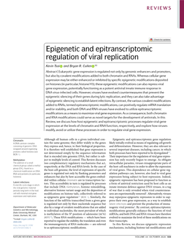 Epigenetic and Epitranscriptomic Regulation of Viral Replication