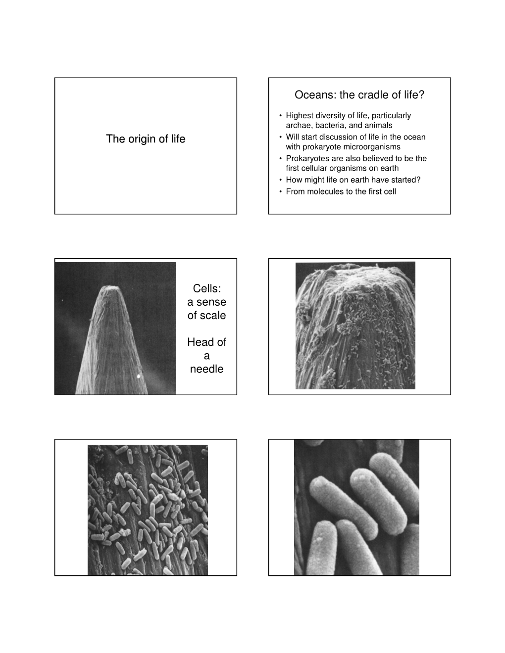 The Origin of Life Oceans: the Cradle of Life? Cells