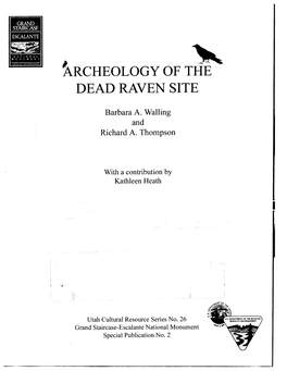 Archeology of the Dead Raven Site