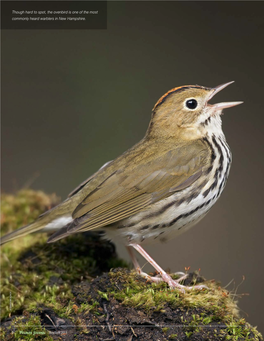 8 8 Though Hard to Spot, the Ovenbird Is One of the Most Commonly Heard
