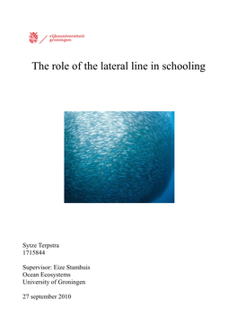 The Role of the Lateral Line in Schooling