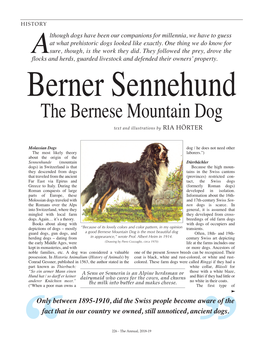 The Bernese Mountain Dog Text and Illustrations by Ria Hörter