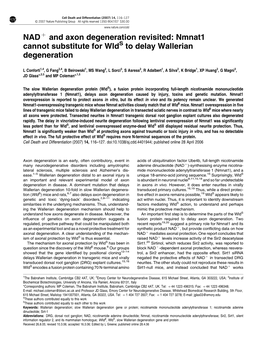Nmnat1 Cannot Substitute for Wld to Delay Wallerian Degeneration