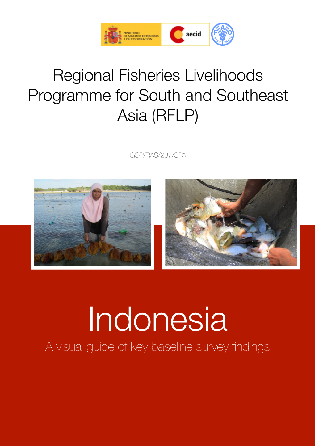 Indonesia a Visual Guide of Key Baseline Survey ﬁndings