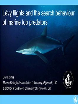 Lévy Flights and the Search Behaviour of Marine Top Predators