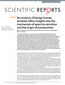 An Analysis of Benign Human Prostate Offers Insights Into the Mechanism