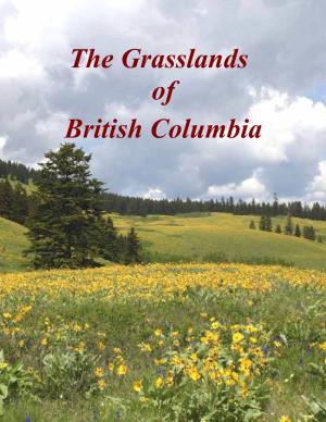 The Grasslands of British Columbia