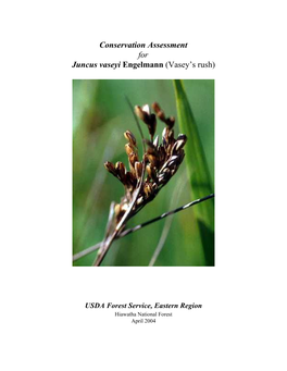 Conservation Assessment for Juncus Vaseyi Engelmann (Vasey's Rush)