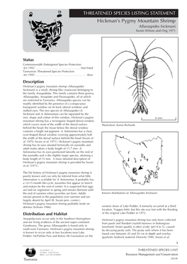 Hickman's Pygmy Mountain Shrimp (Allanaspides Hickmani) Is a Small, Shrimp-Like Crustacean Belonging to the Family Anaspididae