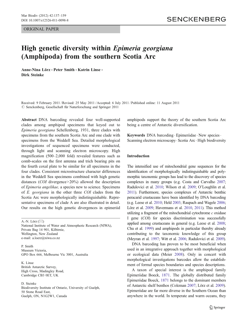 High Genetic Diversity Within Epimeria Georgiana (Amphipoda) from the Southern Scotia Arc