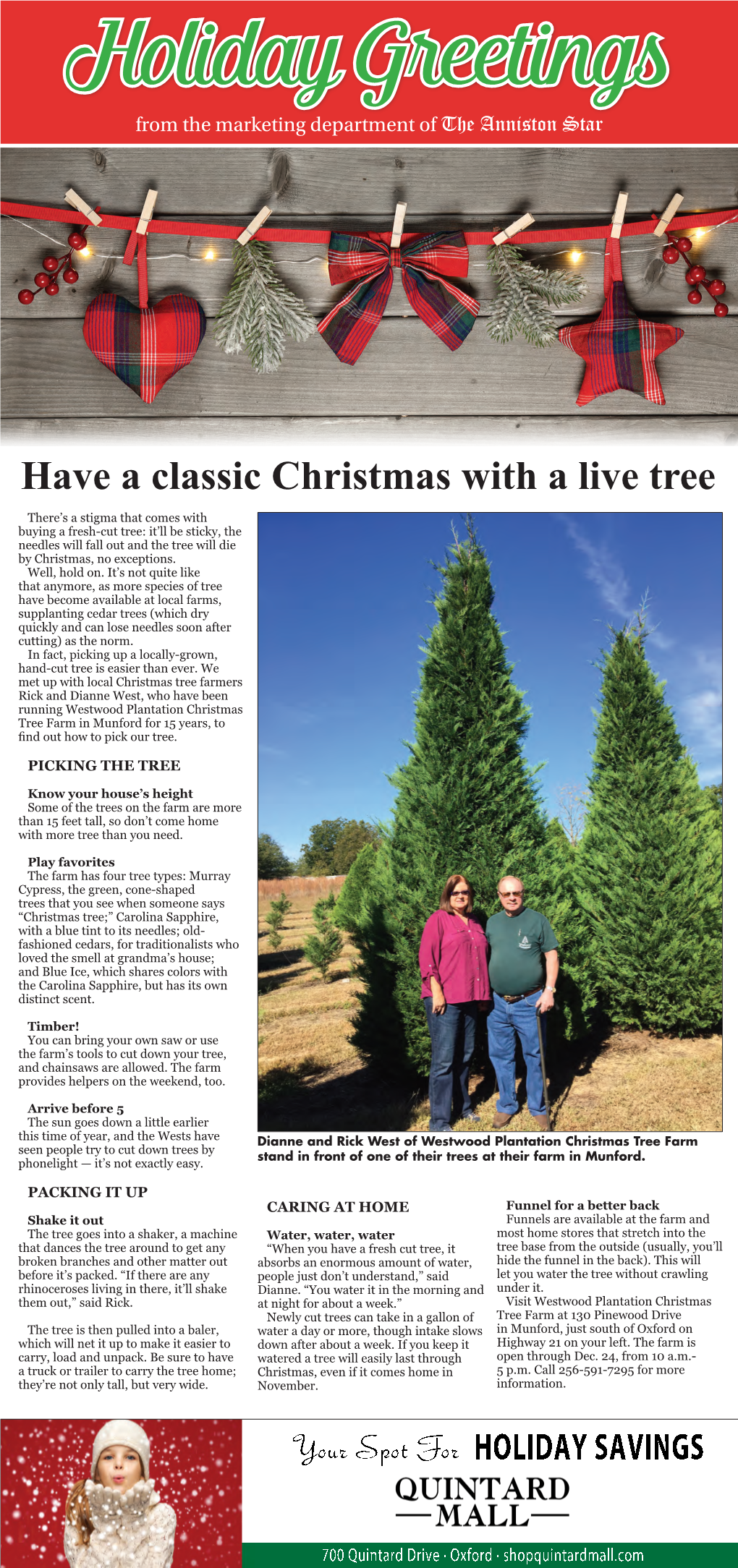 Have a Classic Christmas with a Live Tree